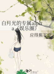 novelimage (1)
