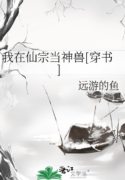 novelimage (17)