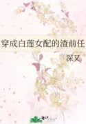 novelimage 13-10kb